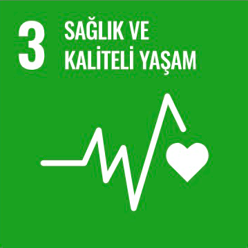 Kalkınma Projesi 4