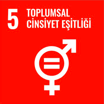 Kalkınma Projesi 6
