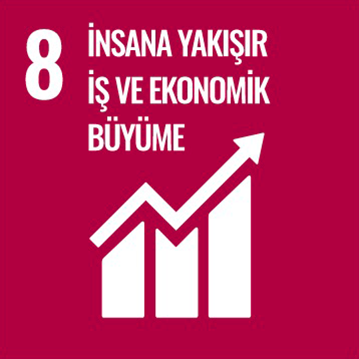 Kalkınma Projesi 9