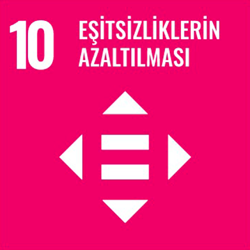 Kalkınma Projesi 11