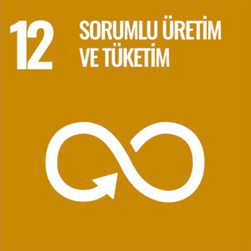 Kalkınma Projesi 13
