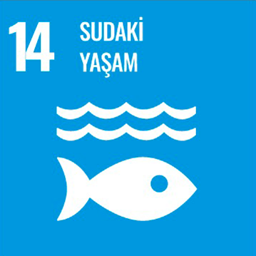 Kalkınma Projesi 15