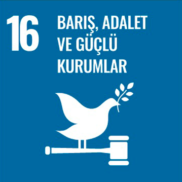 Kalkınma Projesi 17